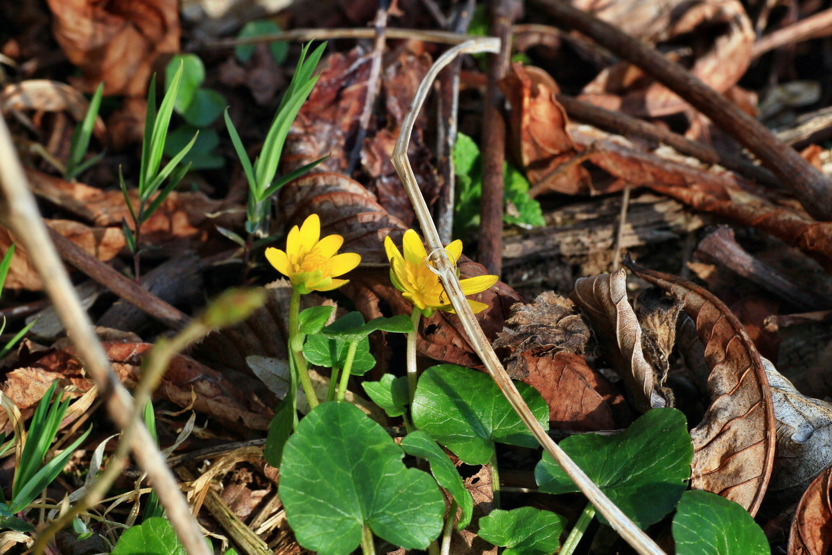 2015_03_28_00016567p_Bildgr��e �ndern