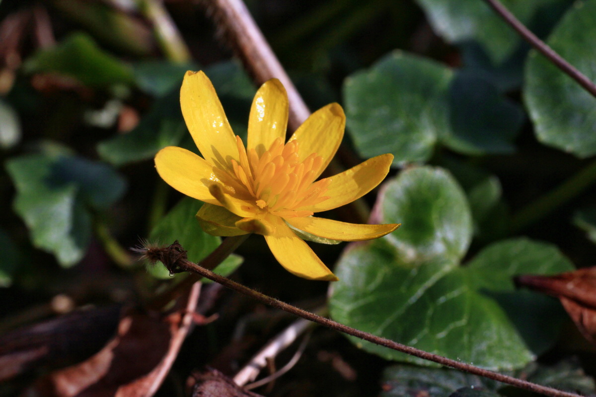 2015_03_28_00016568p_Bildgr��e �ndern