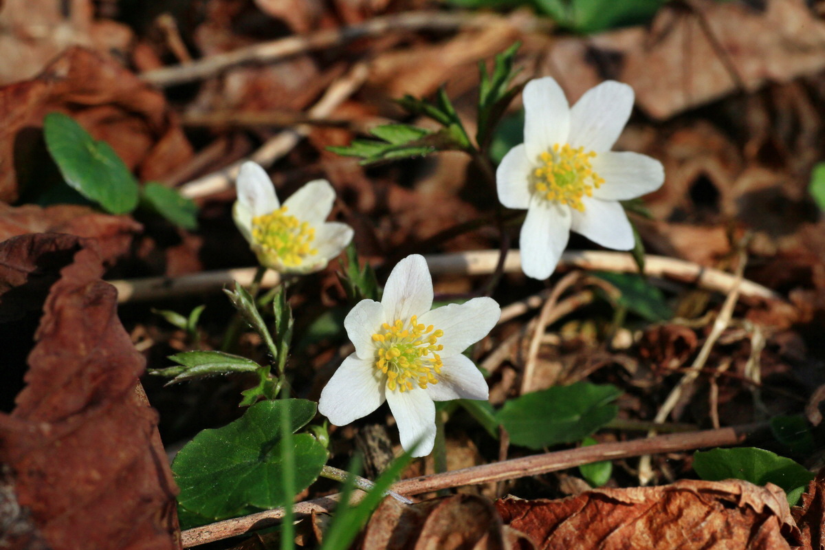 2015_03_28_00016574p_Bildgr��e �ndern