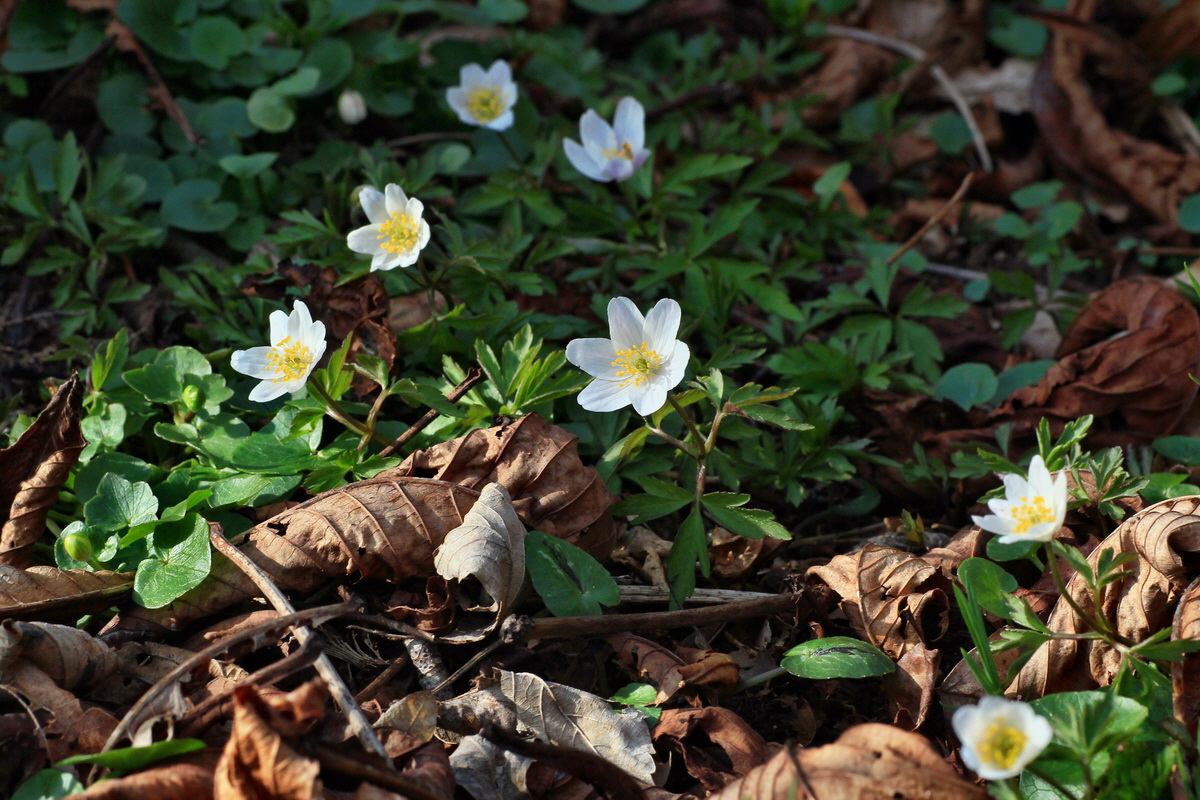 2015_03_28_00016577p_Bildgr��e �ndern