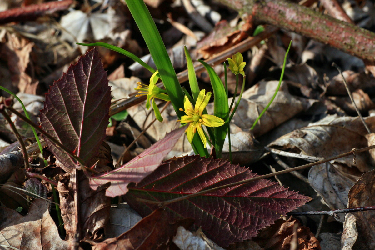 2015_03_28_00016580p_Bildgr��e �ndern