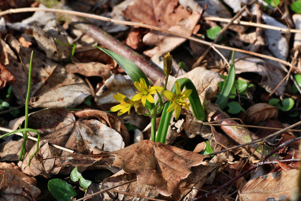 2015_03_28_00016581p_Bildgr��e �ndern