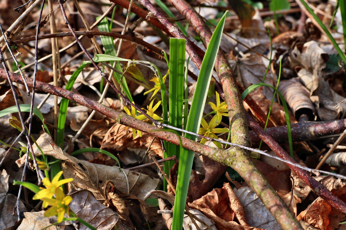 2015_03_28_00016584p_Bildgr��e �ndern