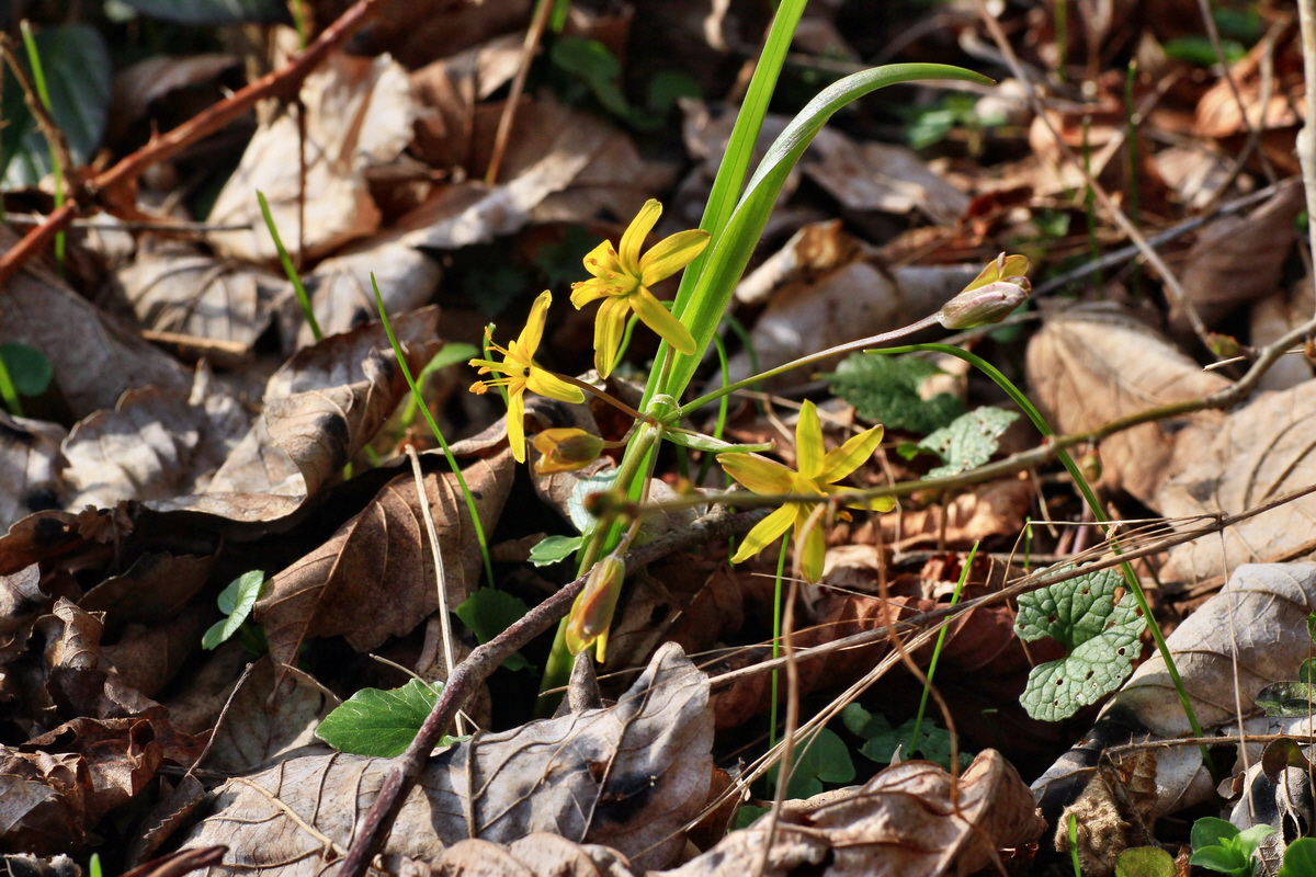 2015_03_28_00016585p_Bildgr��e �ndern