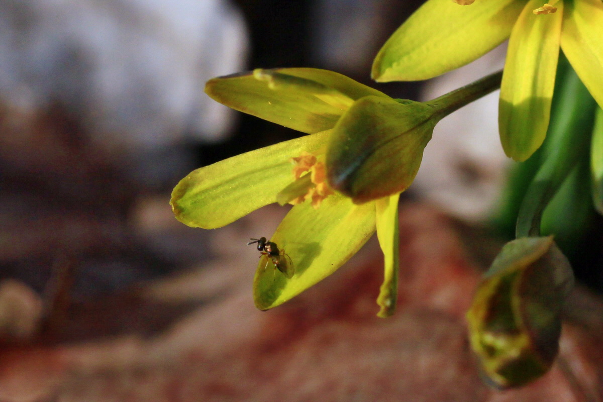 2015_03_28_00016587ap_Bildgr��e �ndern