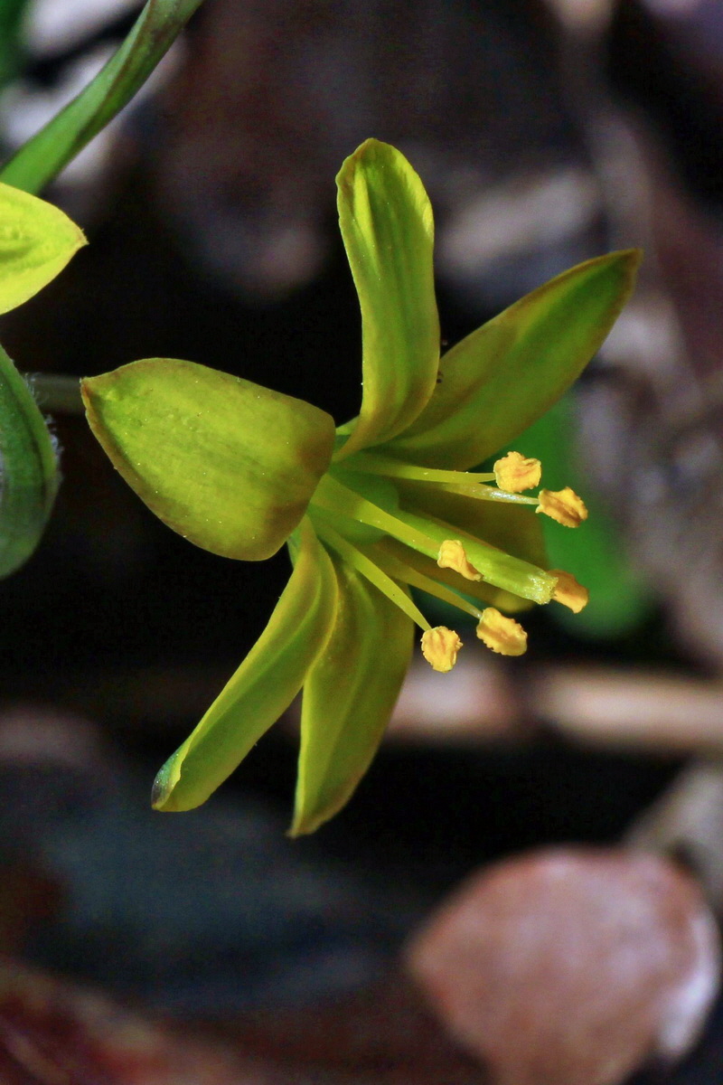 2015_03_28_00016587bp_Bildgr��e �ndern