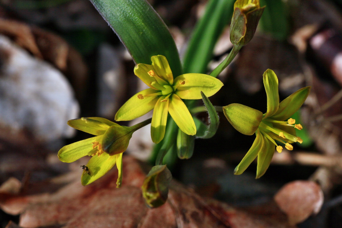 2015_03_28_00016587p_Bildgr��e �ndern