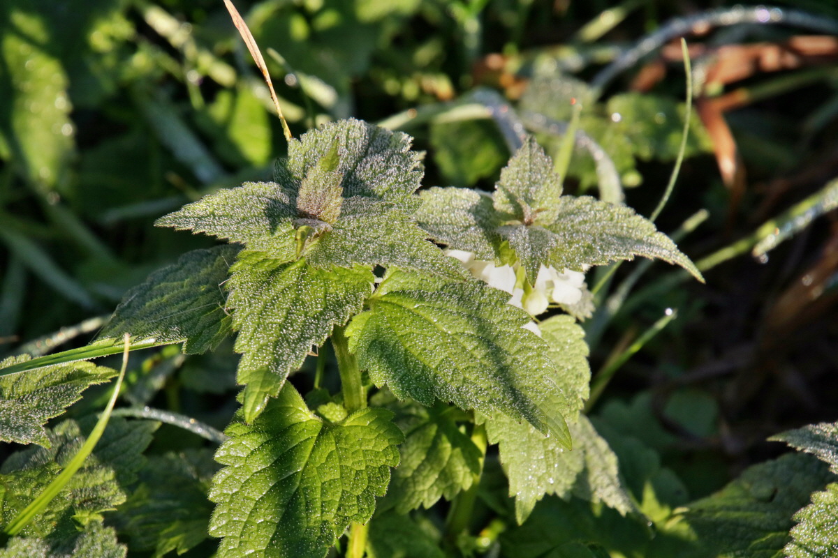 IMG-2015-11-02-00008695p_Bildgr��e �ndern