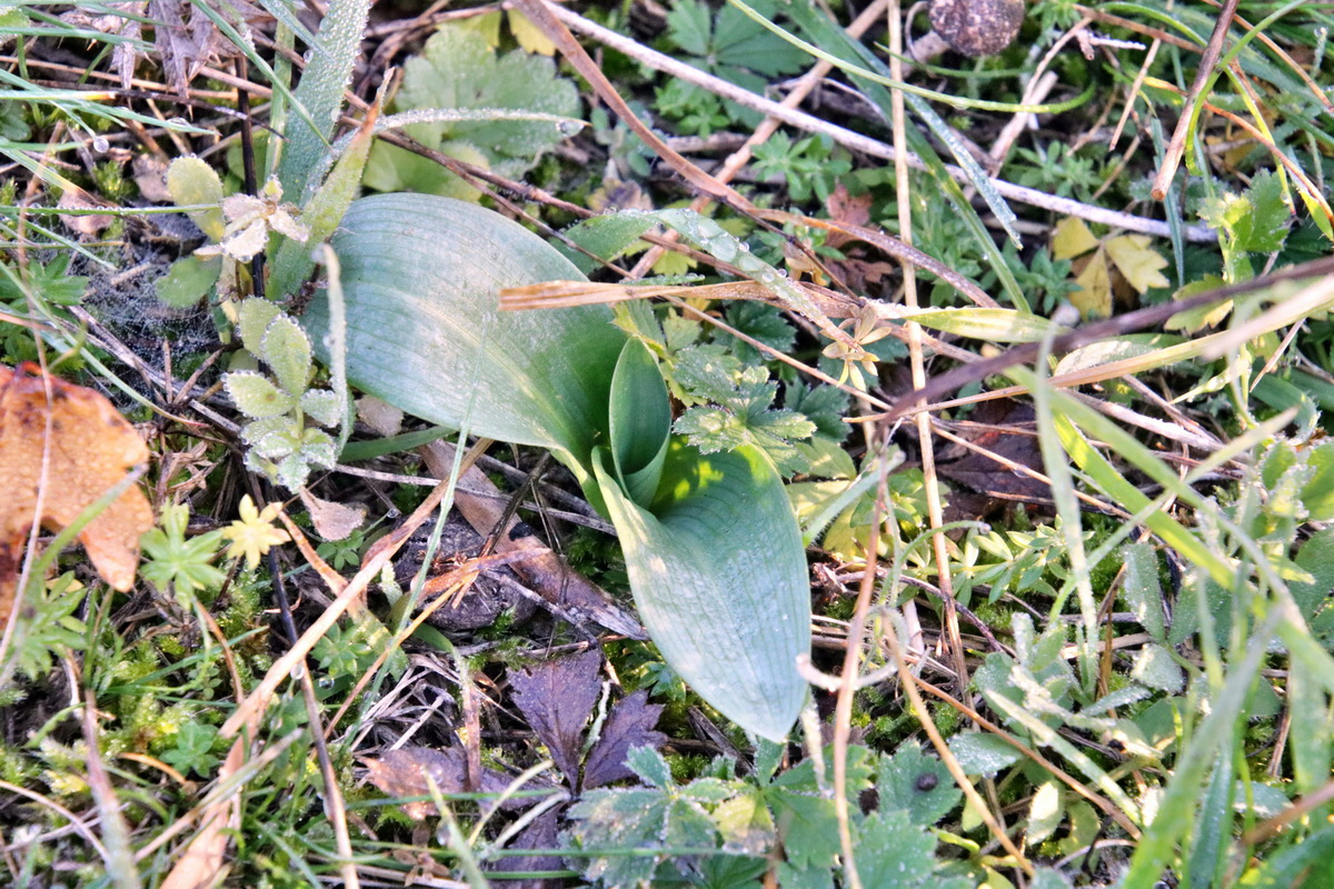 IMG-2015-11-02-00008699p_Bildgr��e �ndern