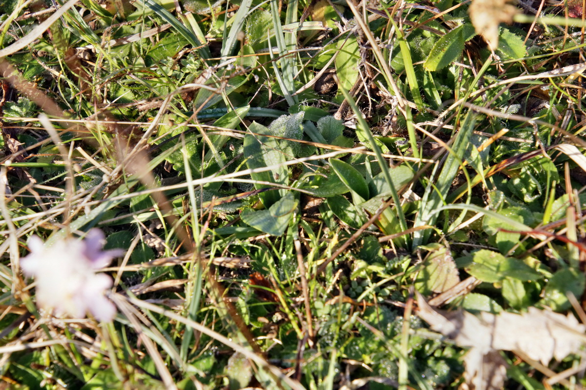 IMG-2015-11-02-00008703p_Bildgr��e �ndern