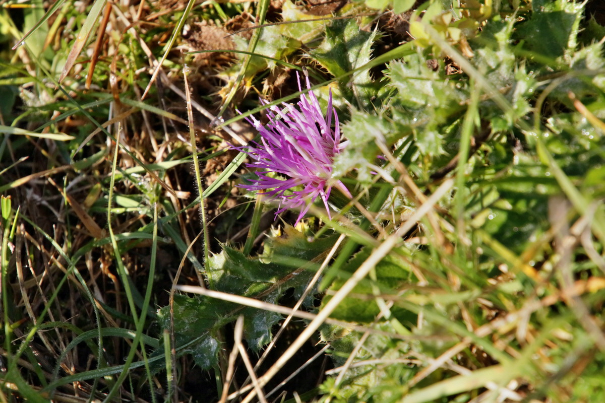 IMG-2015-11-02-00008705p_Bildgr��e �ndern