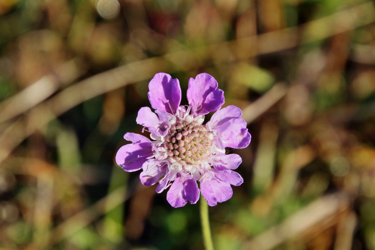 IMG-2015-11-02-00008717p_Bildgr��e �ndern