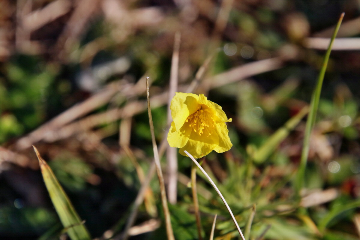 IMG-2015-11-02-00008722p_Bildgr��e �ndern