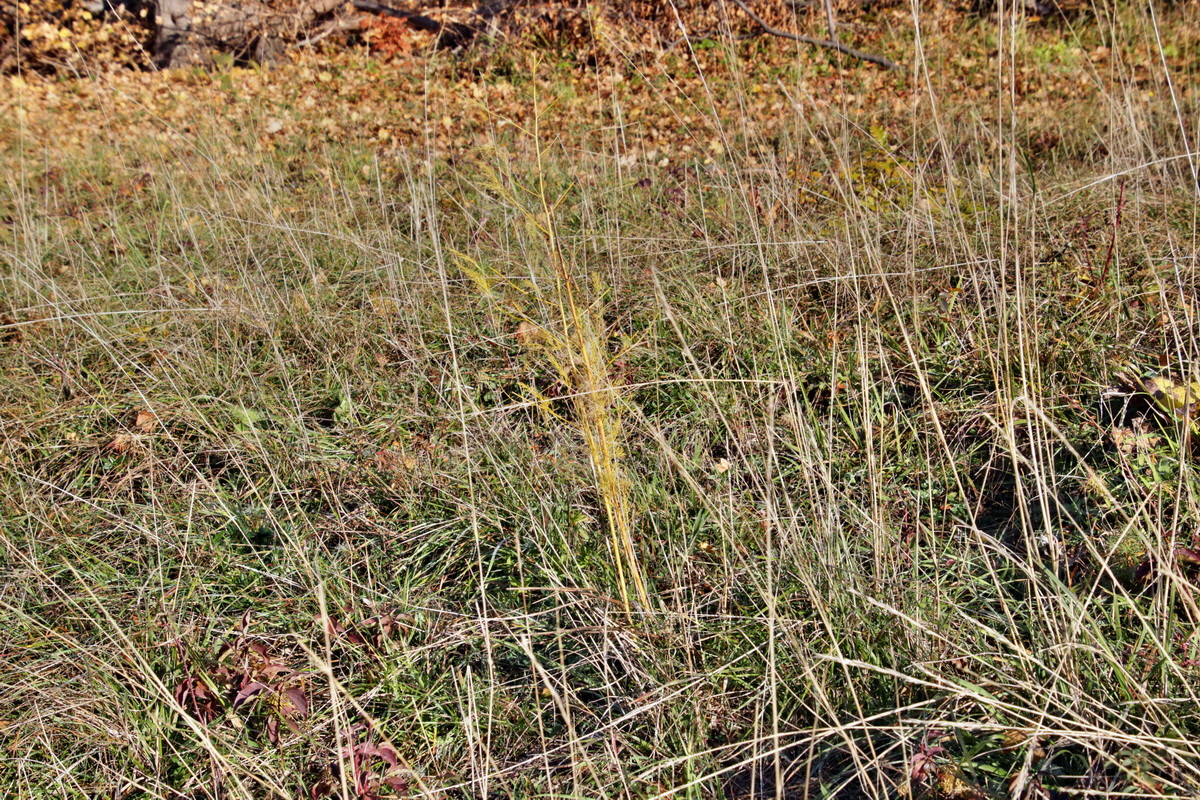 IMG-2015-11-02-00008724p_Bildgr��e �ndern