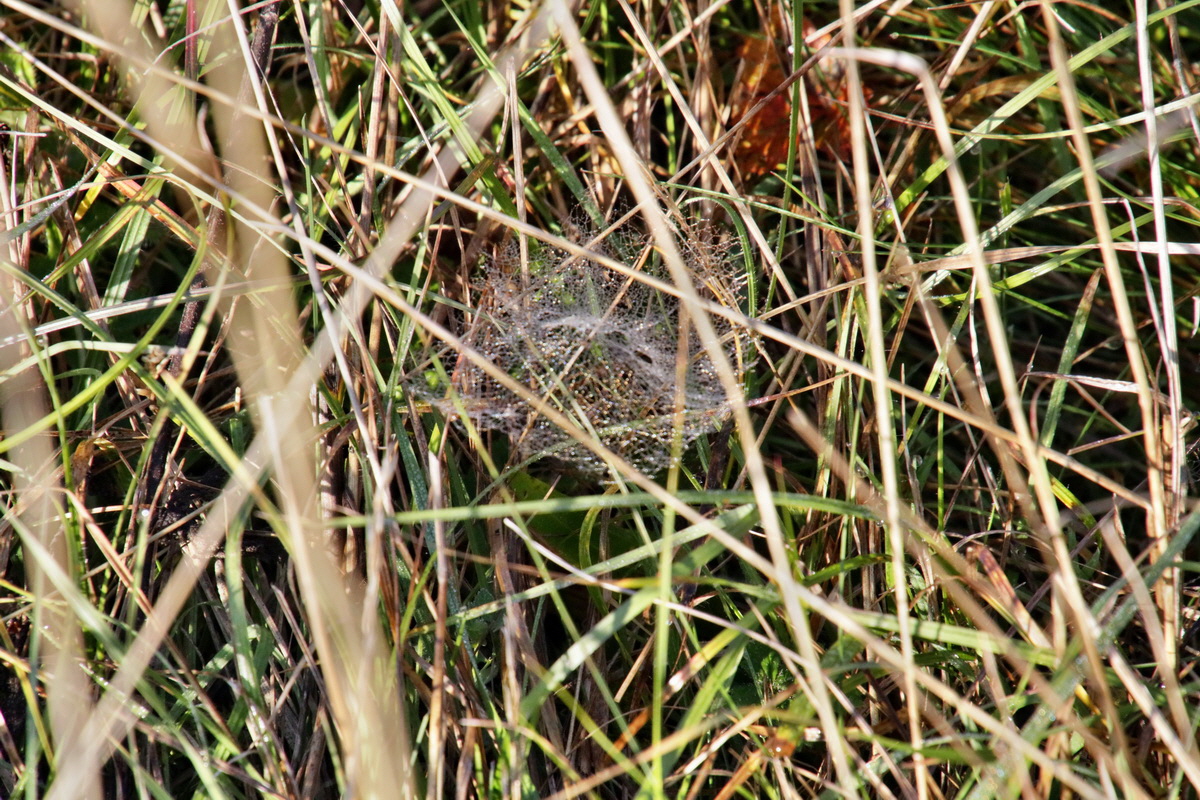 IMG-2015-11-02-00008733p_Bildgr��e �ndern