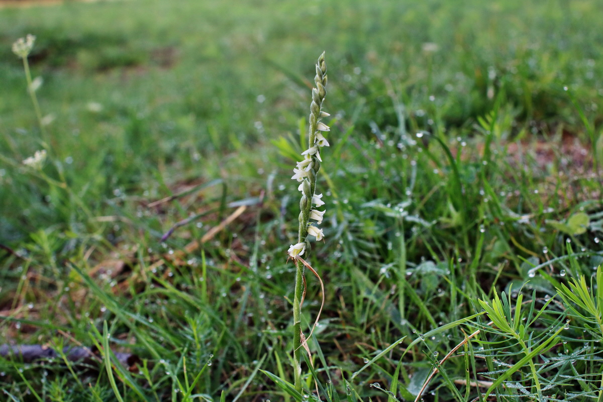 IMG-2015-09-04-00007973p_Bildgr��e �ndern