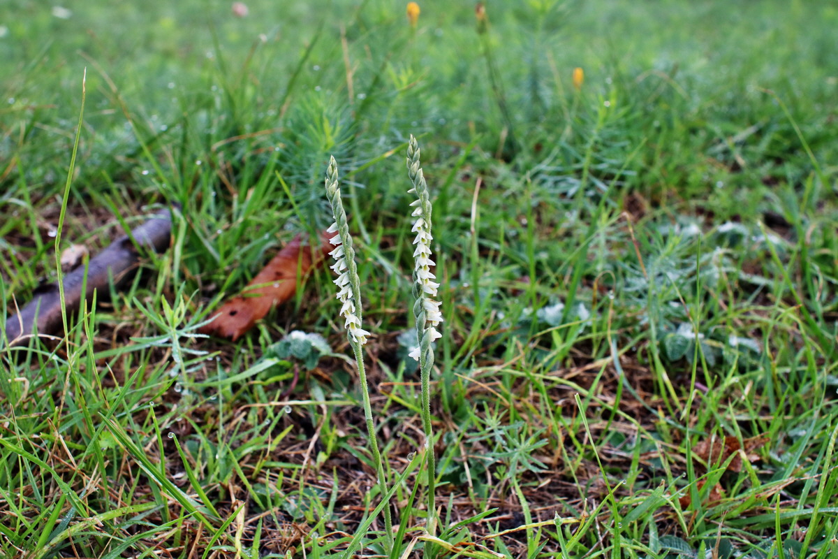 IMG-2015-09-04-00007979p_Bildgr��e �ndern