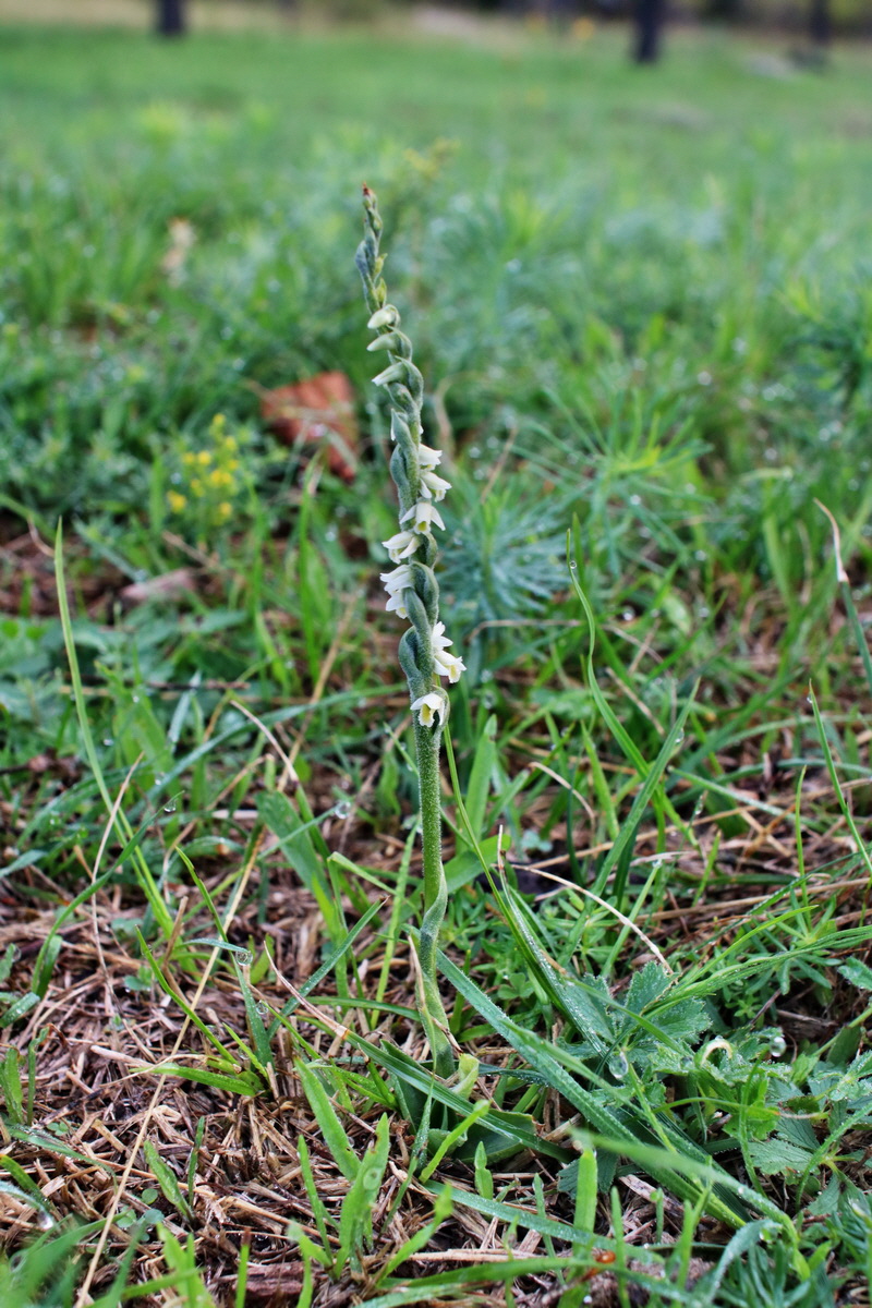 IMG-2015-09-04-00007981p_Bildgr��e �ndern