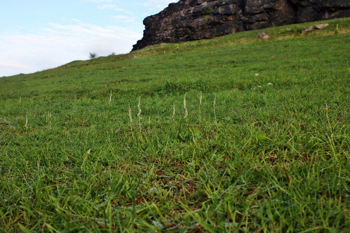 IMG-2015-09-04-00007988p_Bildgr��e �ndern