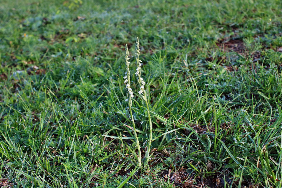 IMG-2015-09-04-00007990p_Bildgr��e �ndern