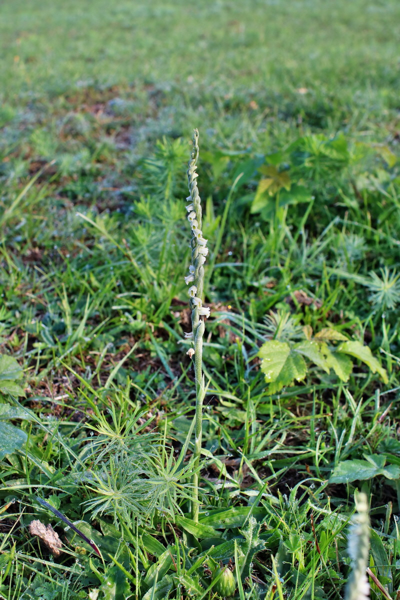 IMG-2015-09-04-00007993p_Bildgr��e �ndern