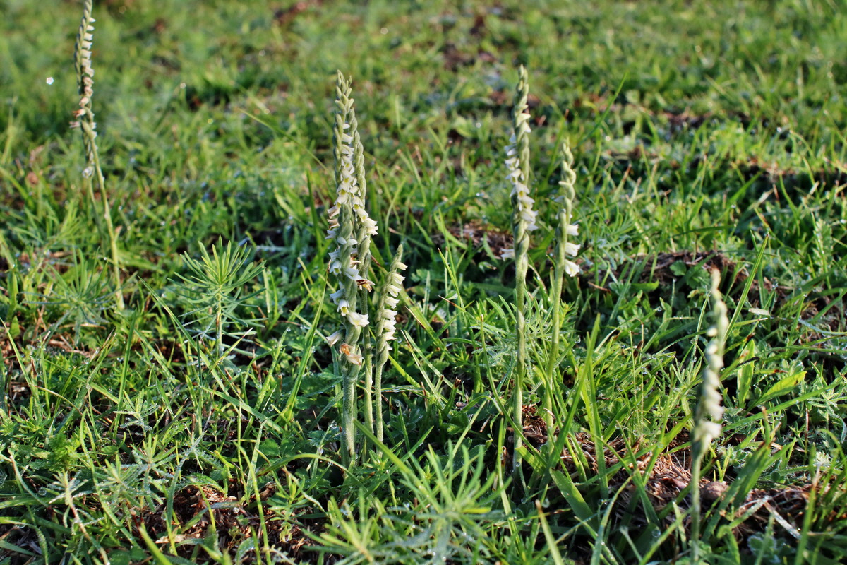 IMG-2015-09-04-00008002p_Bildgr��e �ndern