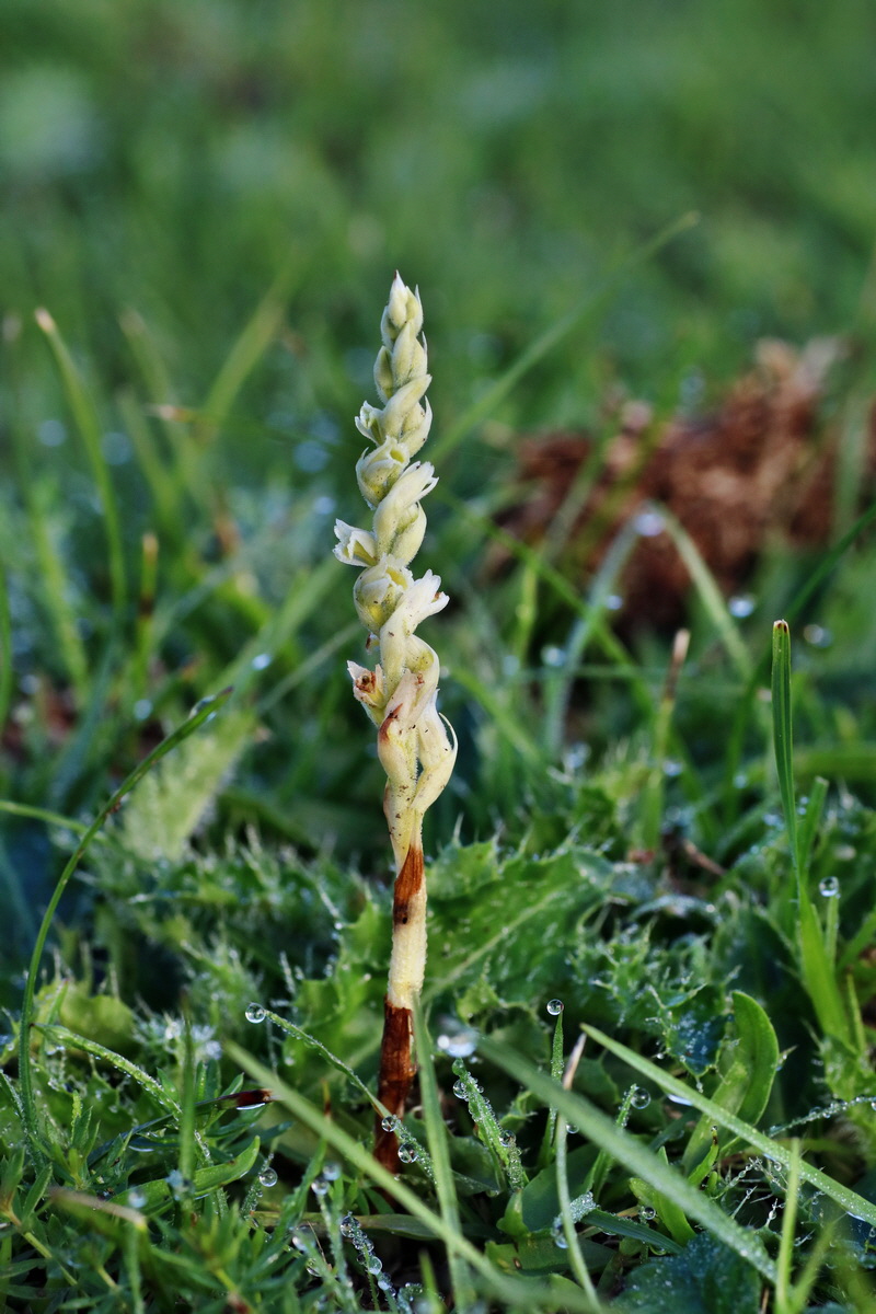 IMG-2015-09-04-00008005p_Bildgr��e �ndern