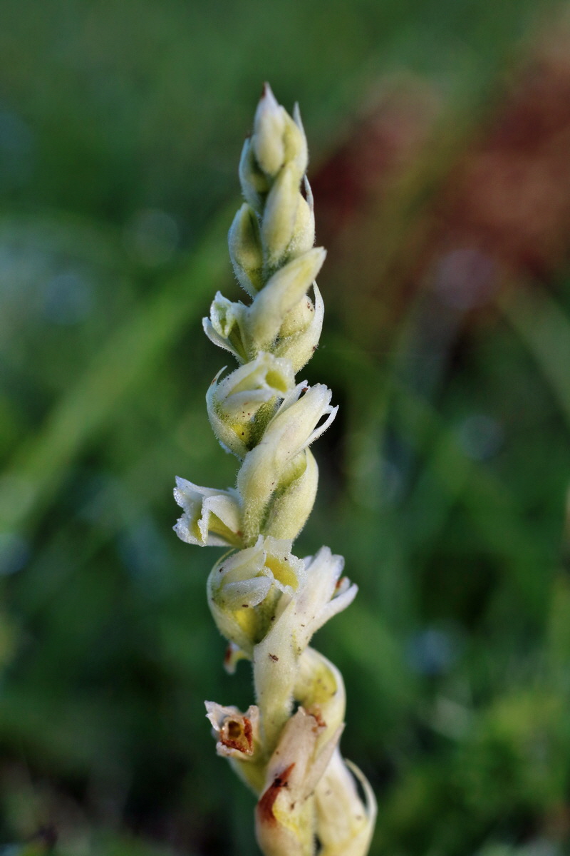 IMG-2015-09-04-00008008p_Bildgr��e �ndern