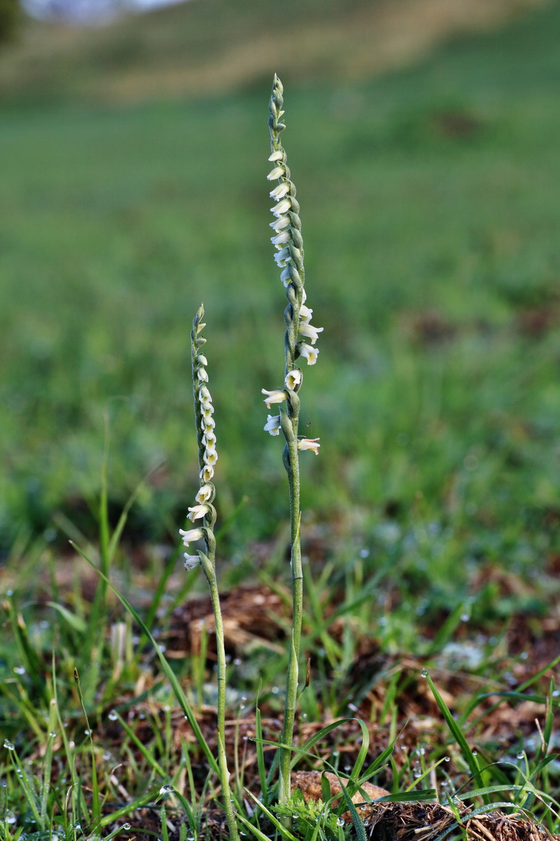 IMG-2015-09-04-00008021p_Bildgr��e �ndern