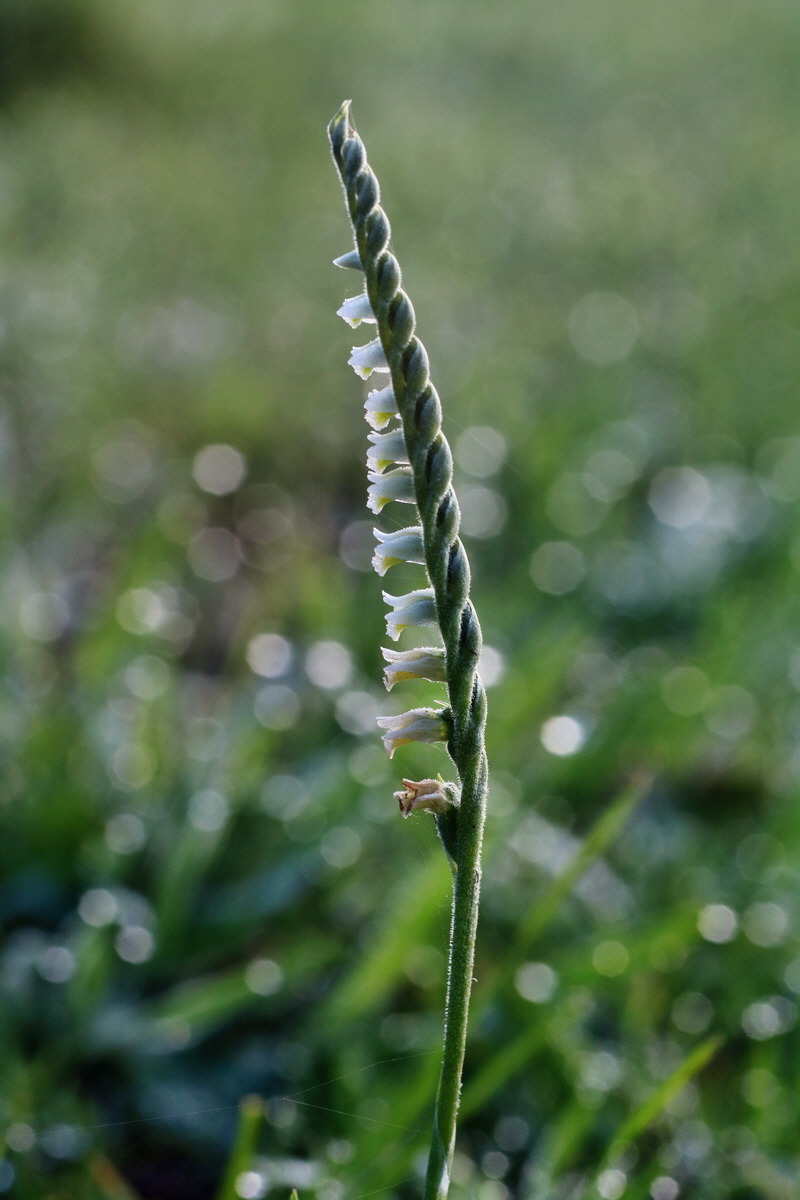 IMG-2015-09-04-00008026p_Bildgr��e �ndern