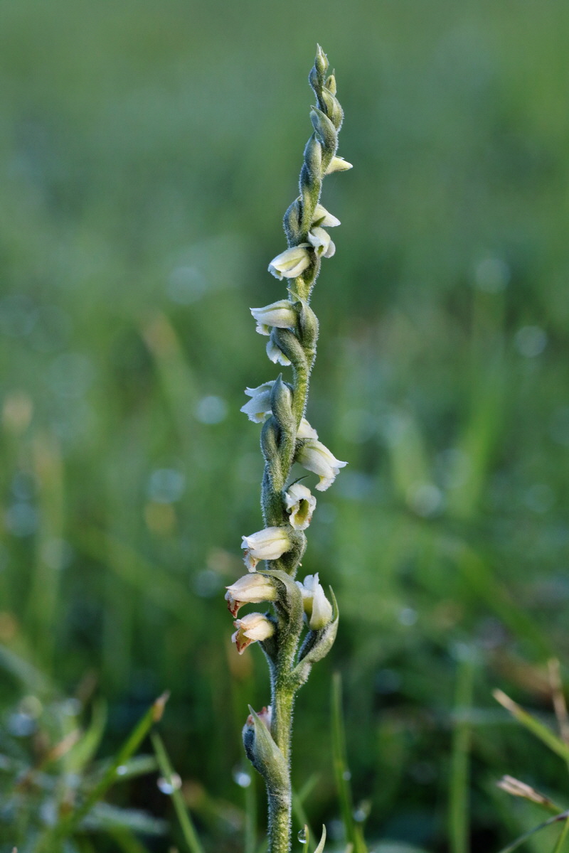 IMG-2015-09-04-00008030p_Bildgr��e �ndern