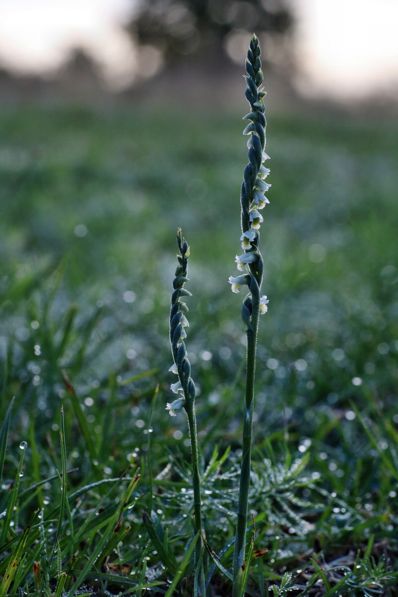 IMG-2015-09-04-00008031p_Bildgr��e �ndern