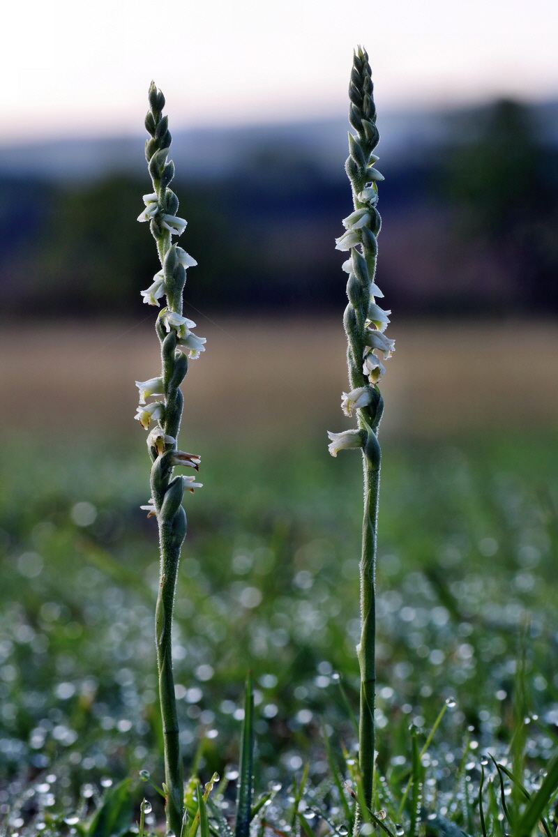 IMG-2015-09-04-00008036p_Bildgr��e �ndern