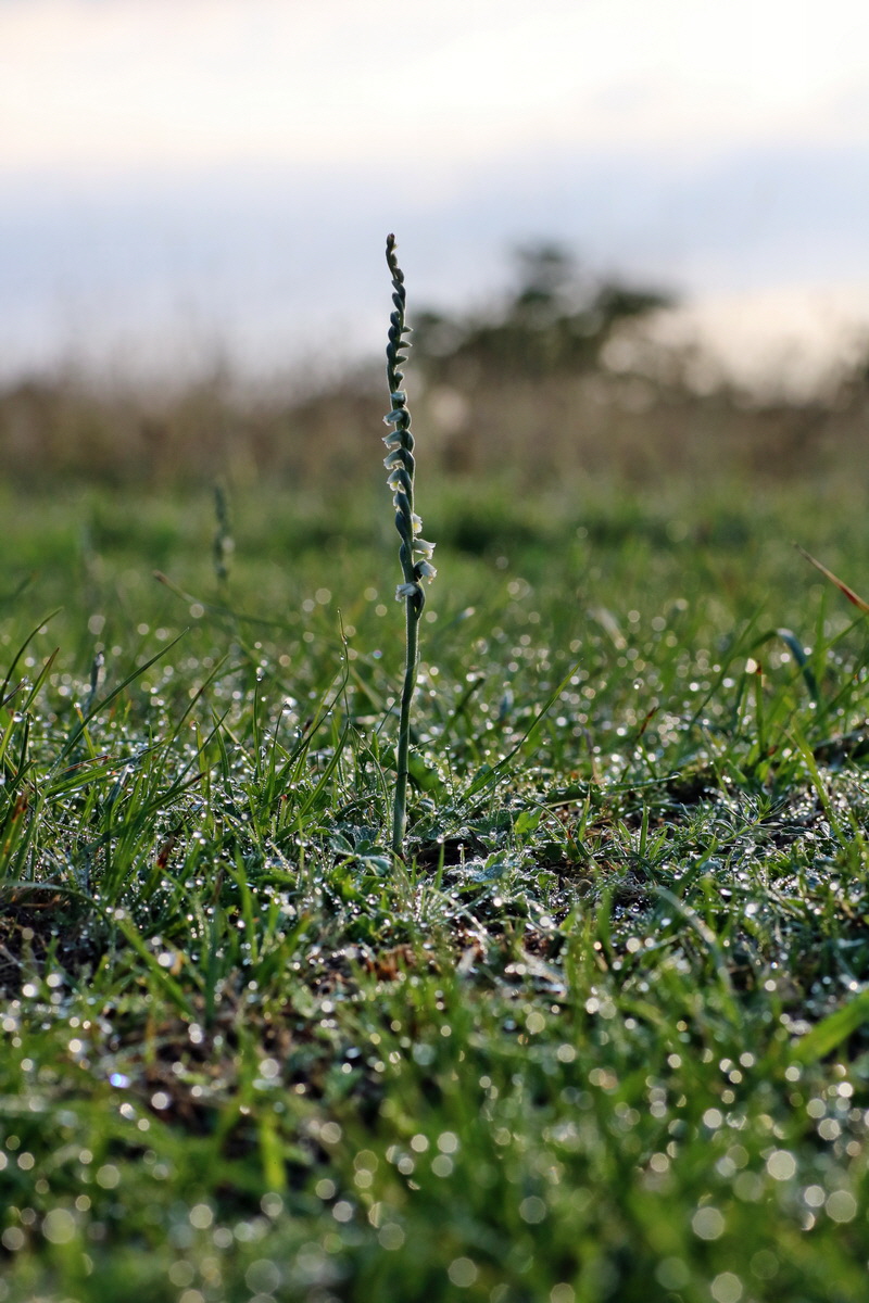 IMG-2015-09-04-00008041p_Bildgr��e �ndern