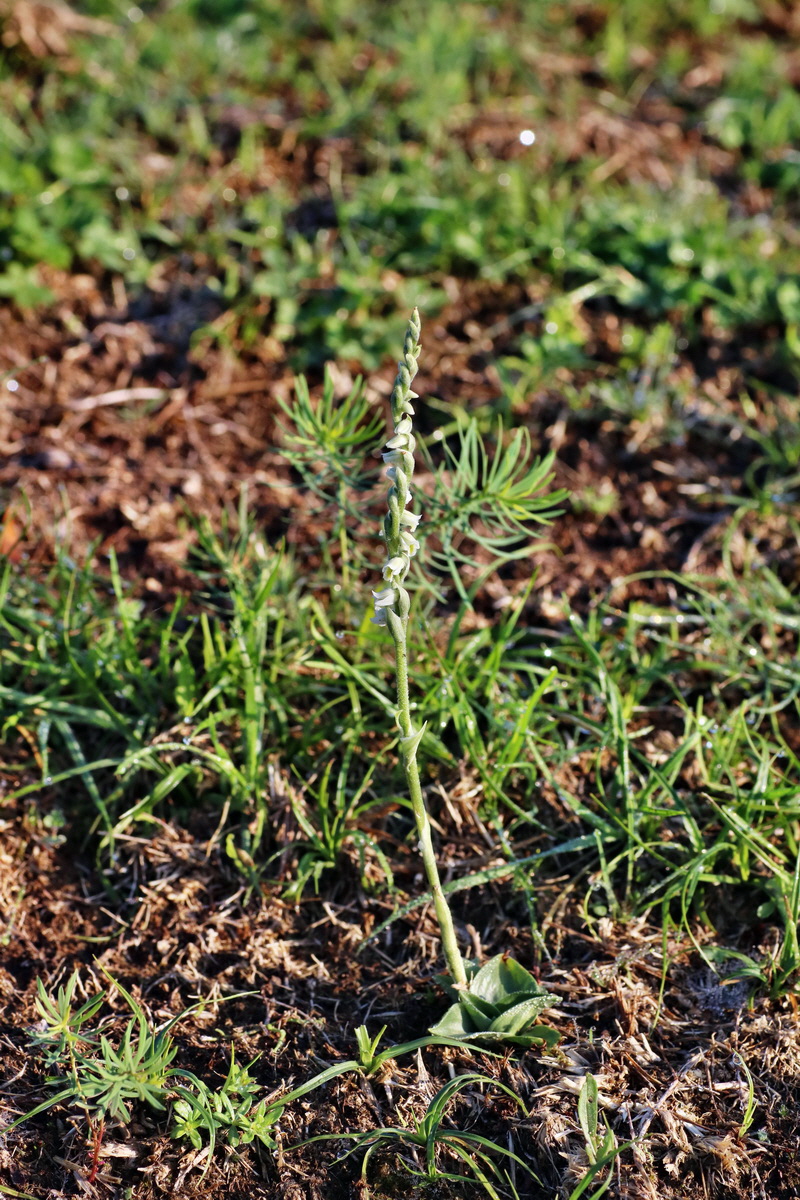 IMG-2015-09-04-00008046p_Bildgr��e �ndern