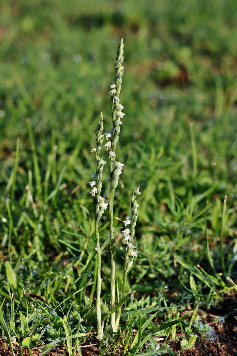 IMG-2015-09-04-00008052p_Bildgr��e �ndern