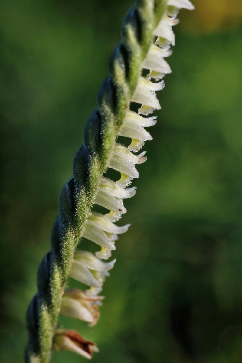 IMG-2015-09-04-00008057p_Bildgr��e �ndern