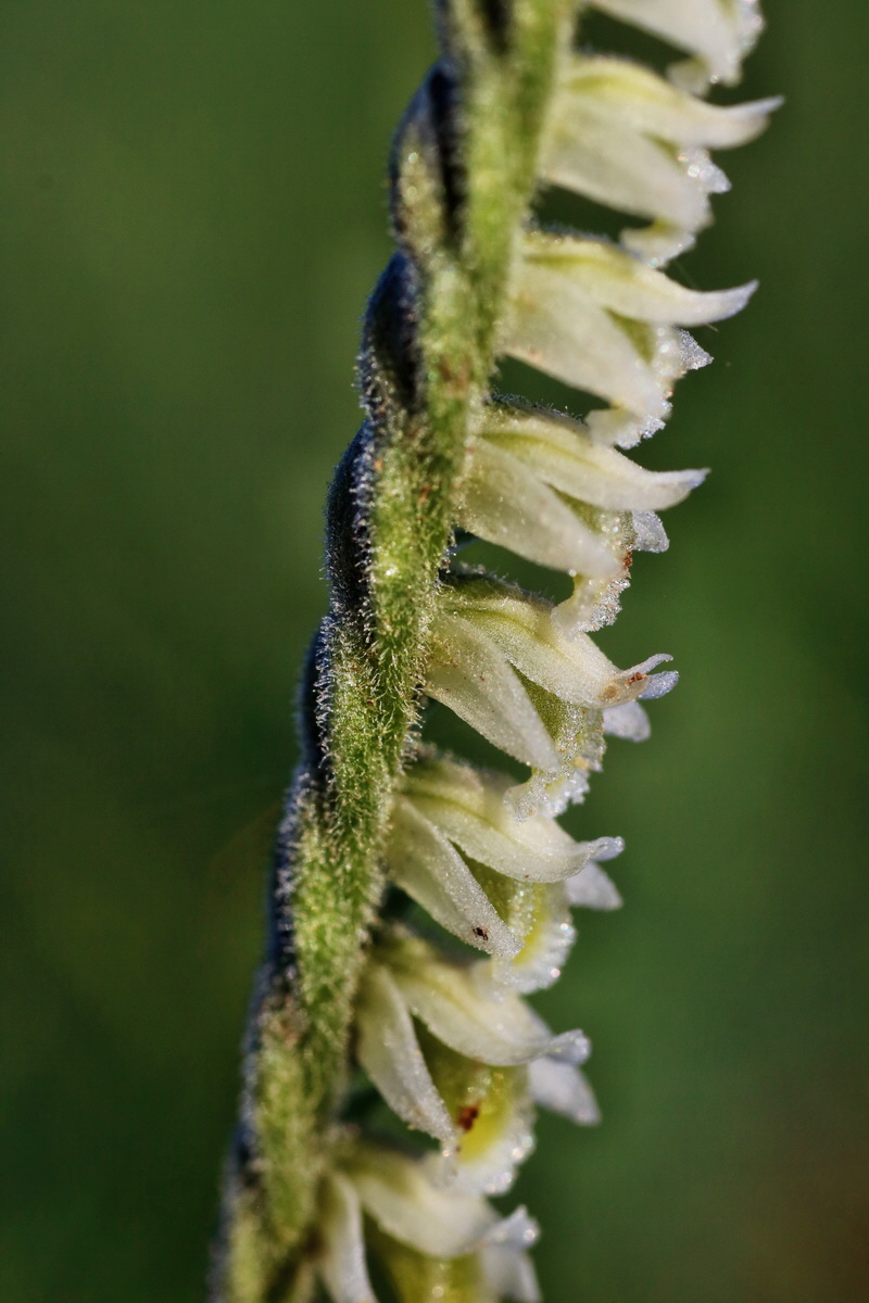 IMG-2015-09-04-00008060p_Bildgr��e �ndern