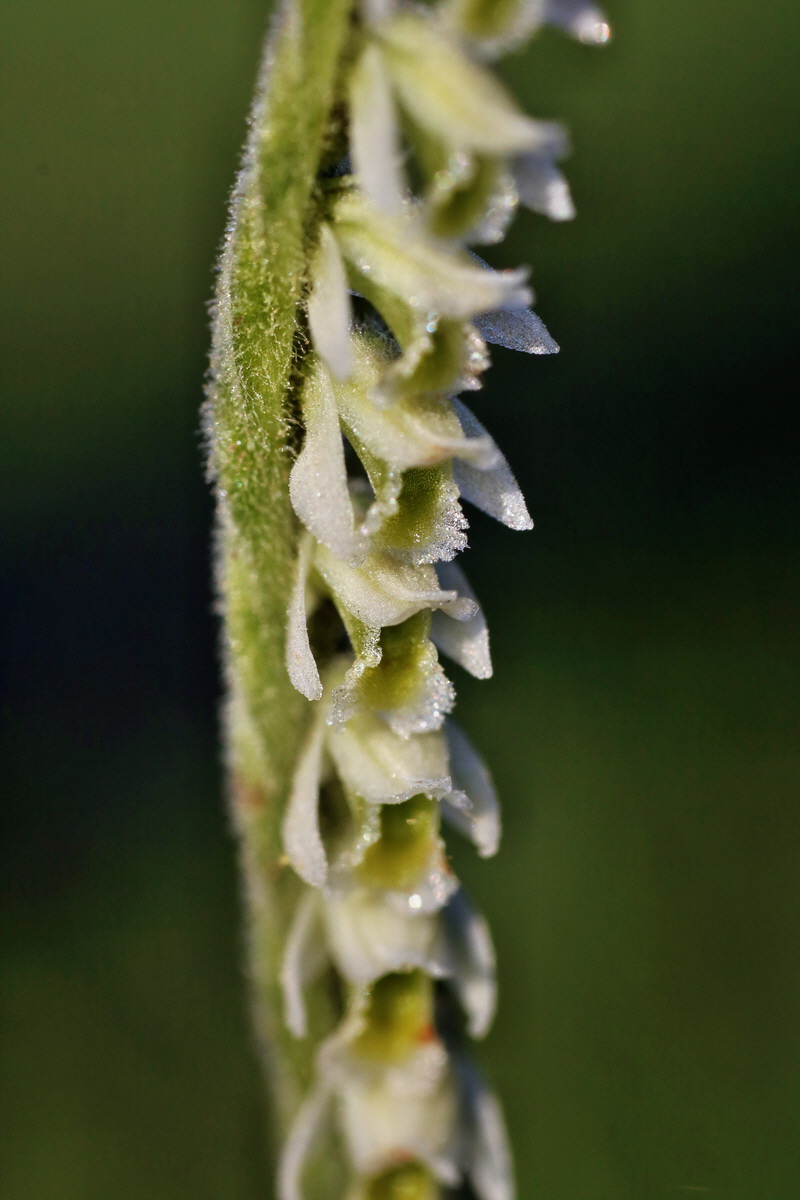 IMG-2015-09-04-00008066p_Bildgr��e �ndern