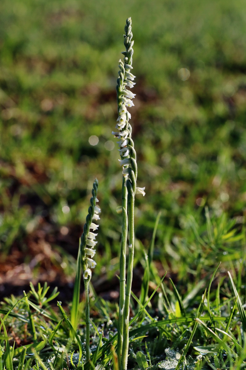 IMG-2015-09-04-00008072p_Bildgr��e �ndern