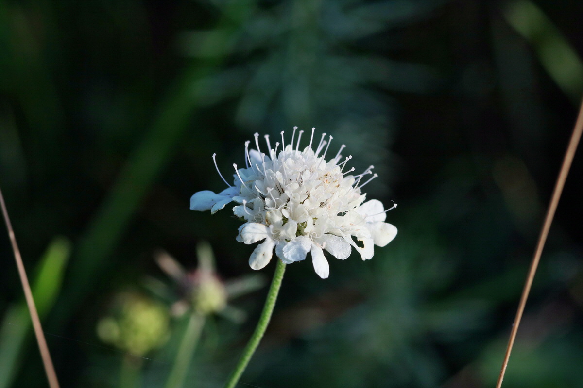 IMG-2015-09-28-00008081p_Bildgr��e �ndern