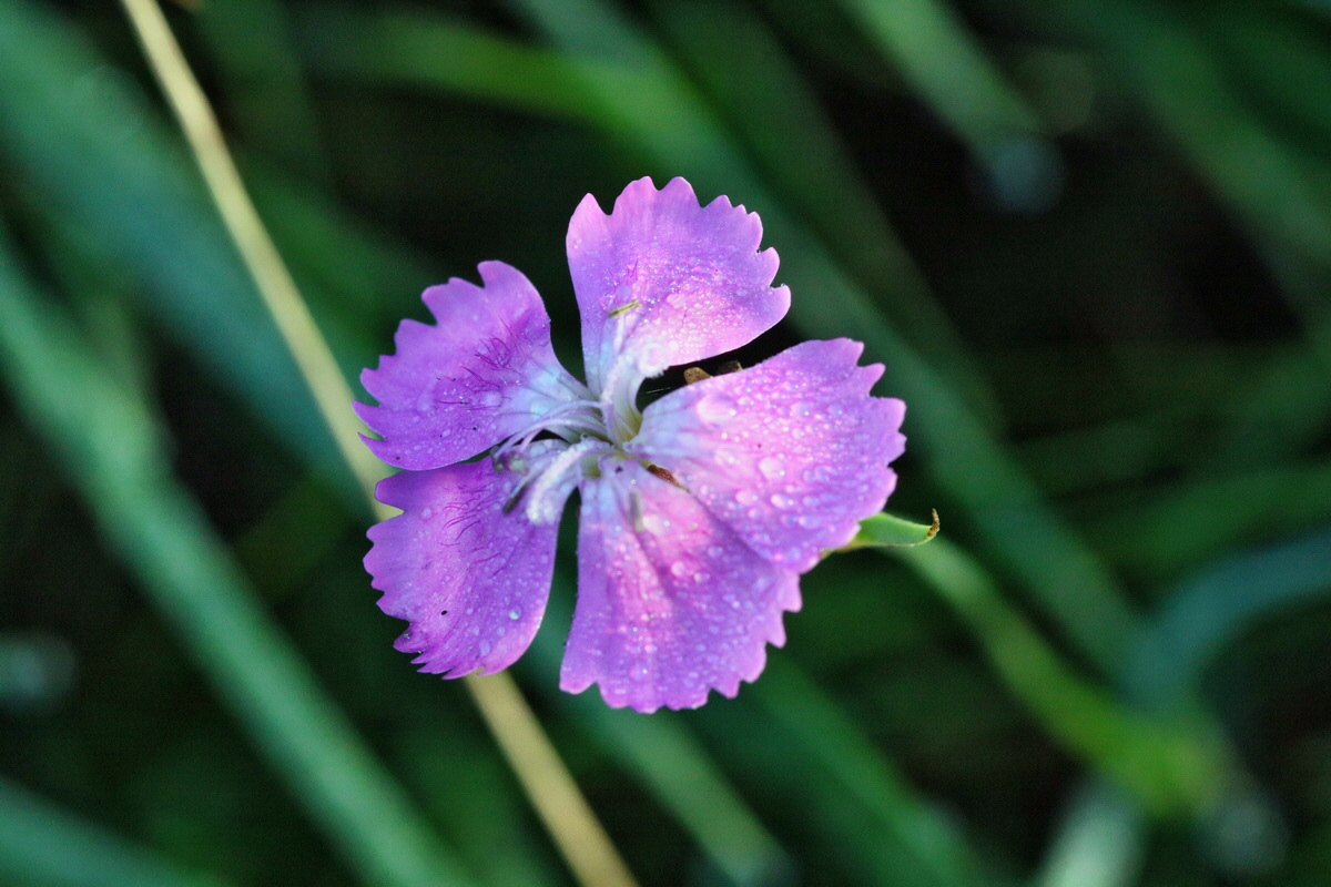 IMG-2015-09-28-00008086p_Bildgr��e �ndern