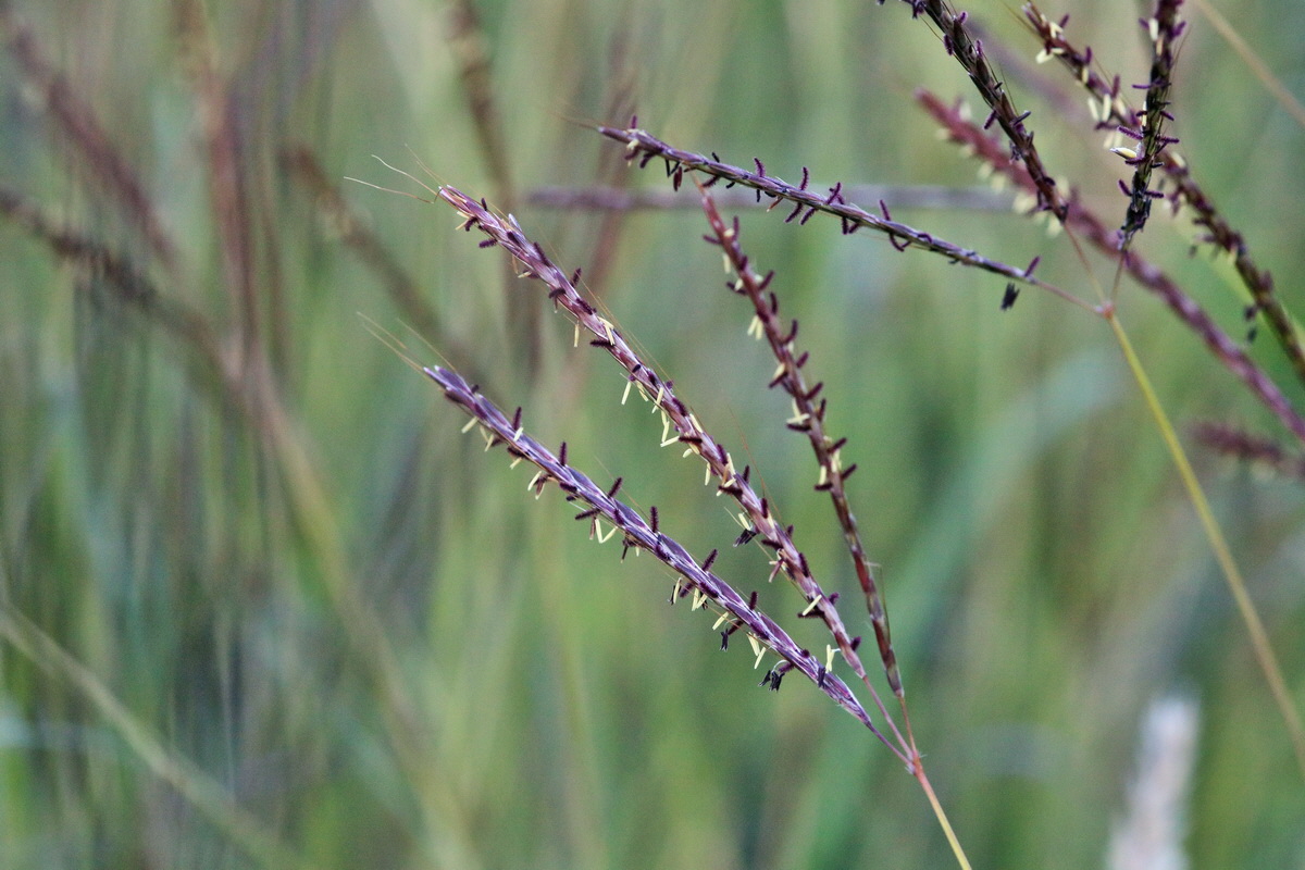 IMG-2015-09-28-00008088p_Bildgr��e �ndern