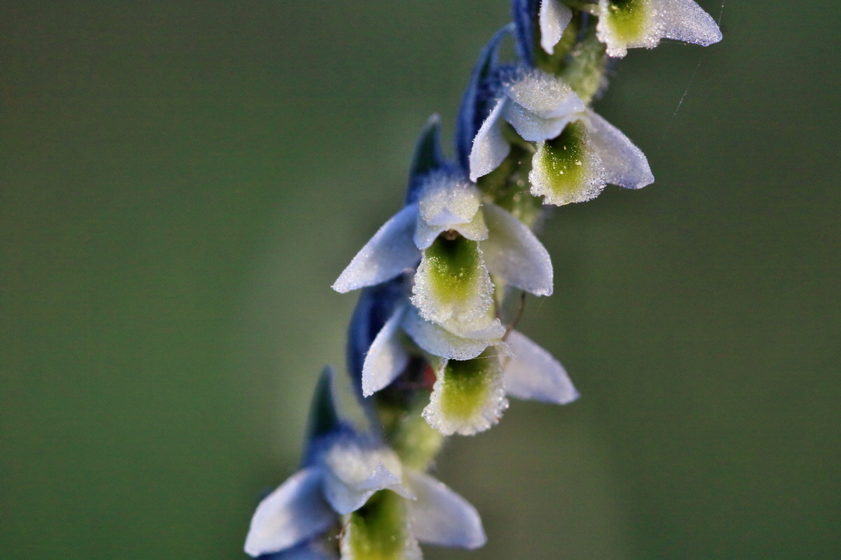 IMG-2015-09-28-00008094p_Bildgr��e �ndern