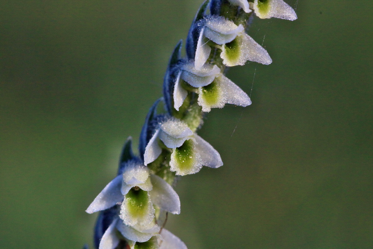 IMG-2015-09-28-00008098p_Bildgr��e �ndern