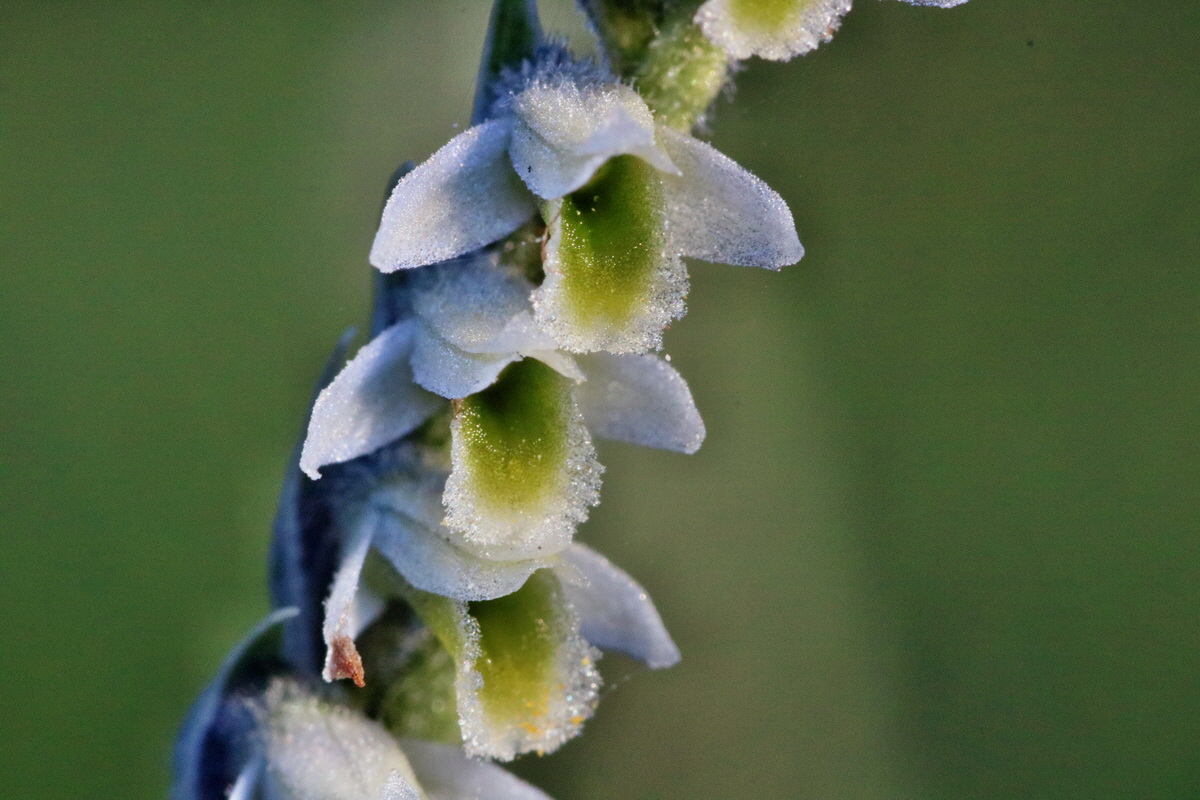 IMG-2015-09-28-00008101p_Bildgr��e �ndern