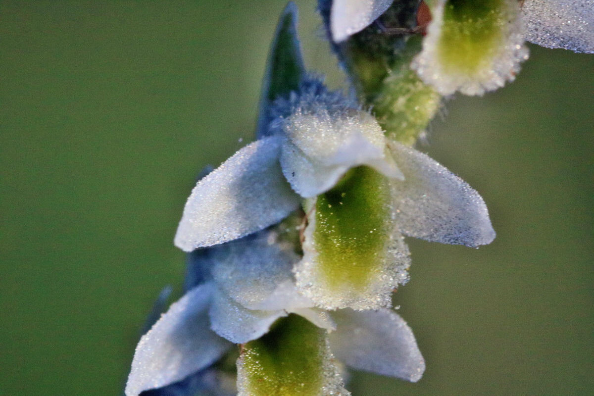 IMG-2015-09-28-00008104p_Bildgr��e �ndern