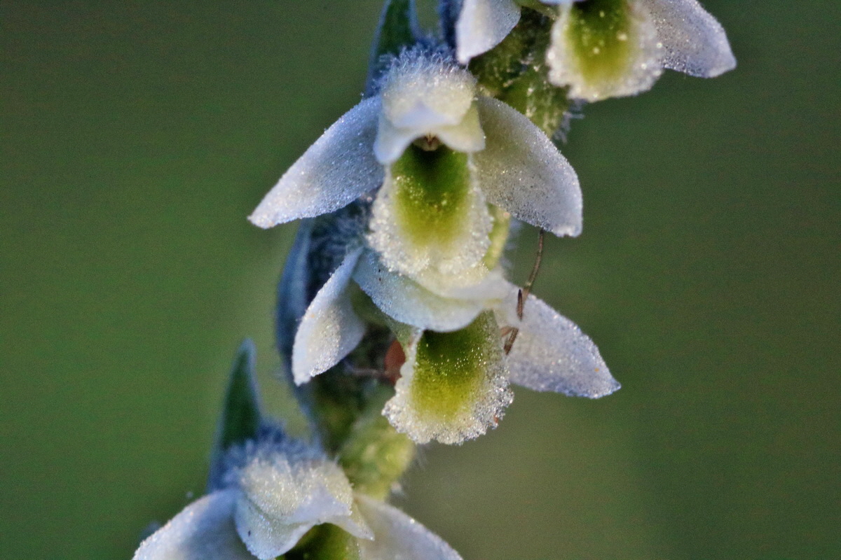 IMG-2015-09-28-00008115p_Bildgr��e �ndern