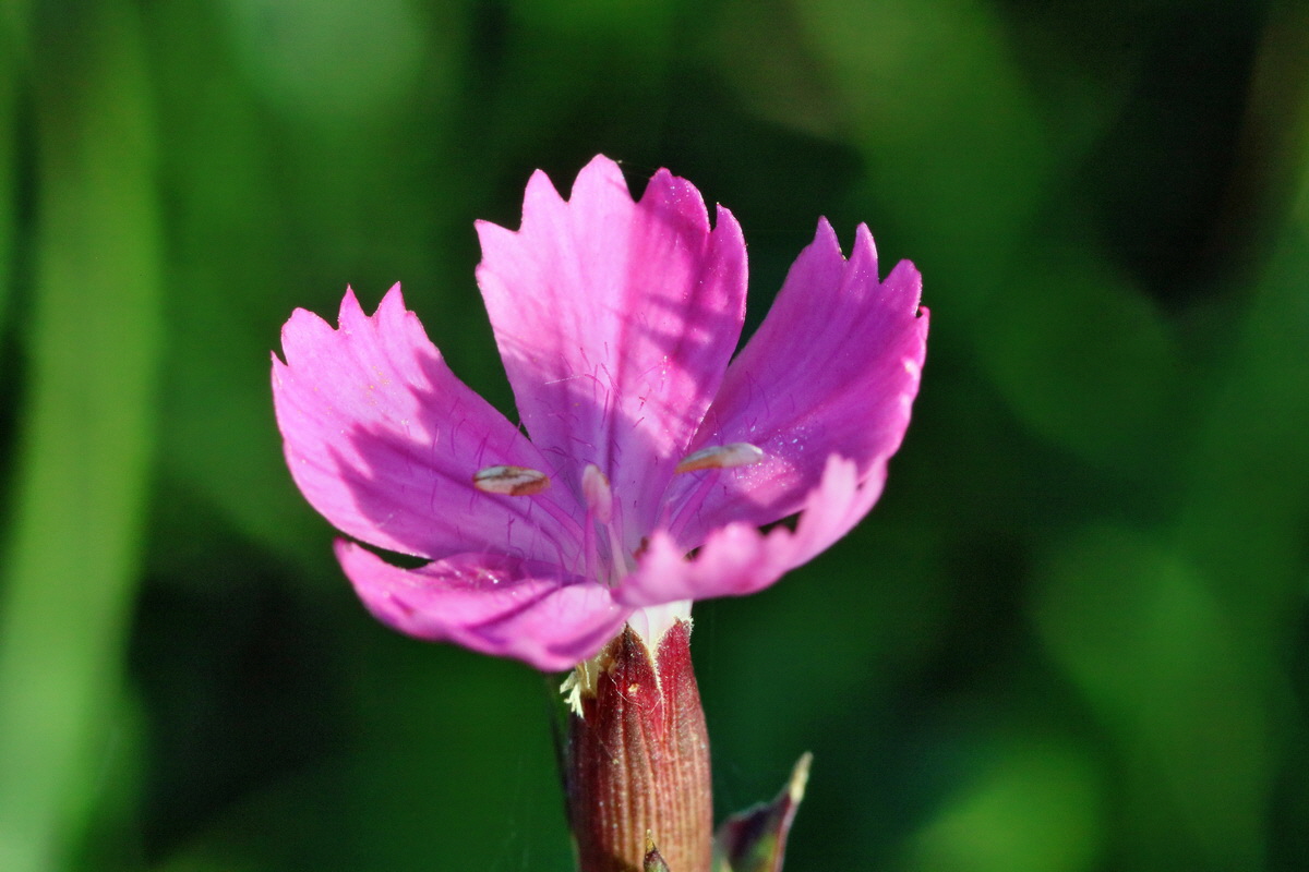 IMG-2015-09-28-00008120p_Bildgr��e �ndern