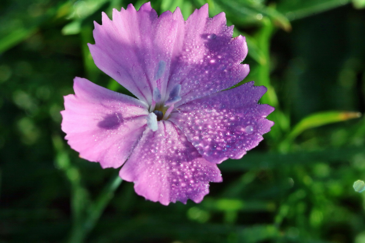 IMG-2015-09-28-00008124p_Bildgr��e �ndern